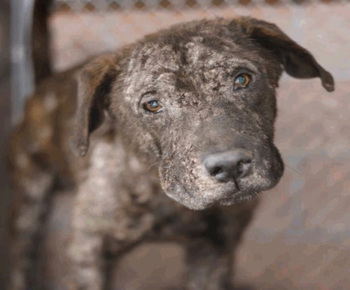 G EaJEhWgAA8Ag8?format=jpg.jpg