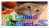 f4aEsxp.png