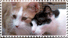 f4aMjnV.gif
