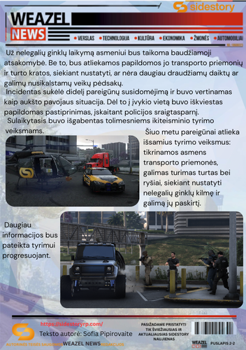 Ginklai meiste 2 2.png