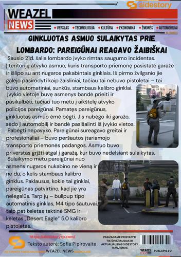 Ginklai meiste 1 2.png