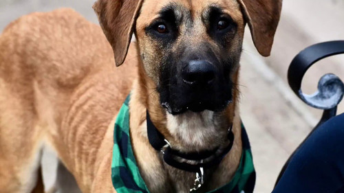 nMppFpjPyHf VZoE.jpg