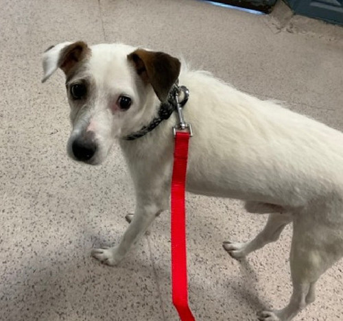 G MlmemWAAEmYXU?format=jpg.jpg