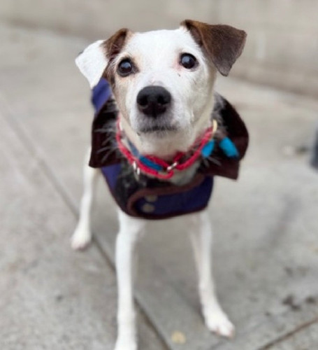 G MlmeaXUAAQbWy?format=jpg.jpg