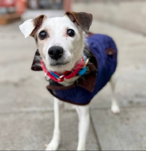 G MlmghWoAAaTIT?format=jpg.jpg