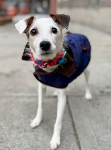 G MlmjvWQAAsHm5?format=jpg.jpg