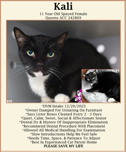 G XpRWSWoAA9ou4?format=jpg.jpg