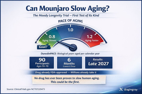 G S7FPJWgAAvgpy?format=jpg.jpg