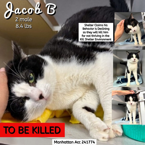 G UT9gcbAAMRzvb?format=jpg.jpg