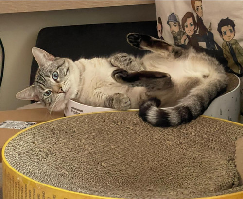 621674293 26233594569571226 5887259508180474411 n.jpg