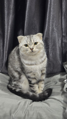 photo ๒๐๒๖ ๐๑ ๑๗ ๐๗ ๒๕ ๐๗.jpg