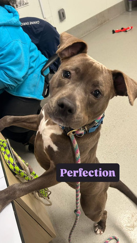 G XHMk9bsAApWYk?format=jpg.jpg