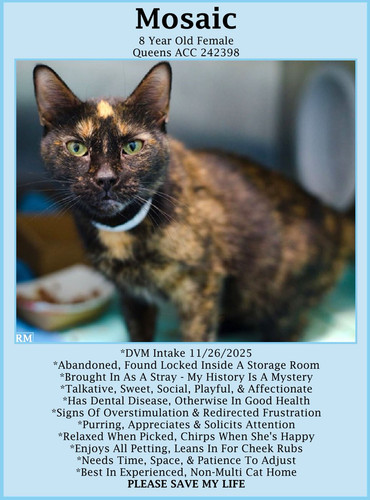 G Kt7GFWMAA4Y8X?format=jpg.jpg