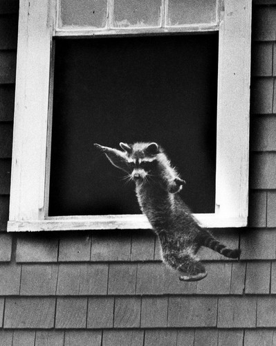 616585406 1544621004336353 4600745320787430463 n.jpg