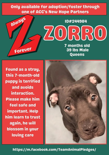 G eZ gbWMAAKmvp?format=jpg.jpg