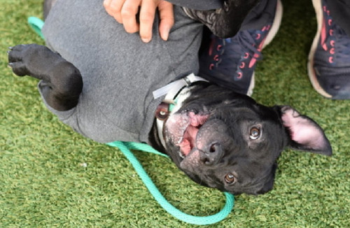 G R1jZ0agAAgWKh?format=jpg.jpg