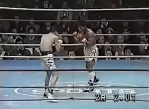 dY8orVQe lhdnQyY.jpg