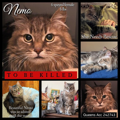 G UTFhrWcAADh1w?format=jpg.jpg