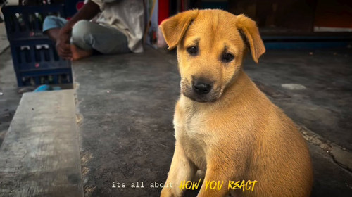 hm rC Rq3D2kknNO.jpg
