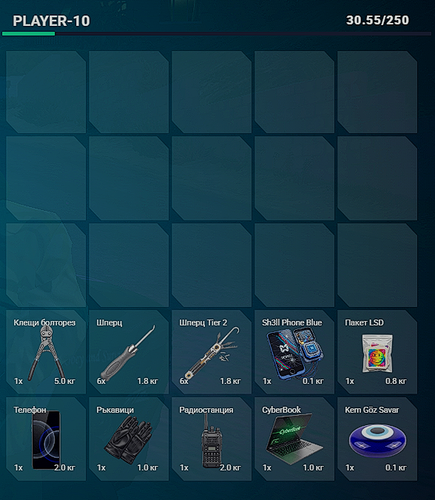 FiveM GTAProcess IOIcYyqJ1V.png