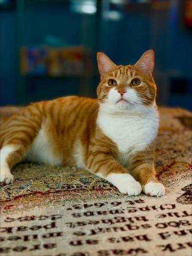 617861080 122158718306859660 2918300890546448062 n.jpg