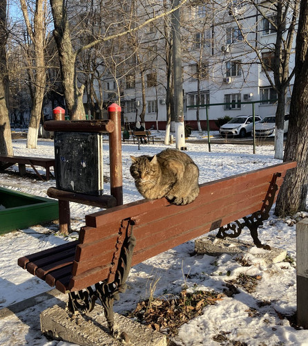 G NO6wCWsAA8PJV?format=jpg.jpg