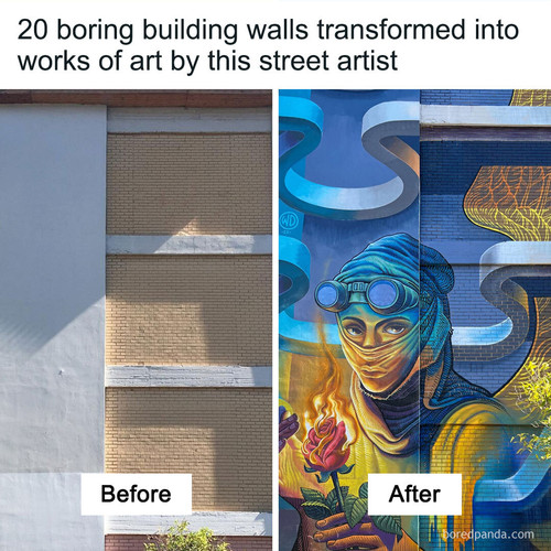 street art murals wild drawing.jpg