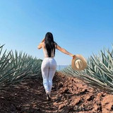 adbfb6ada9a7fd1ceac6d5d8766486da