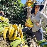 f7ed9086be436d62fc79ddf4495eb782