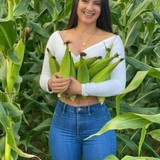 deacb54f8bded9c0edd6a7effab38b9f