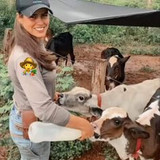 49e5e627ae507277e66341746ee22145