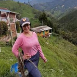 937d048b82e549bc3dd1db9889035f9b