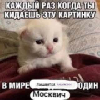 G U 5U3XEAALVWA.jpg