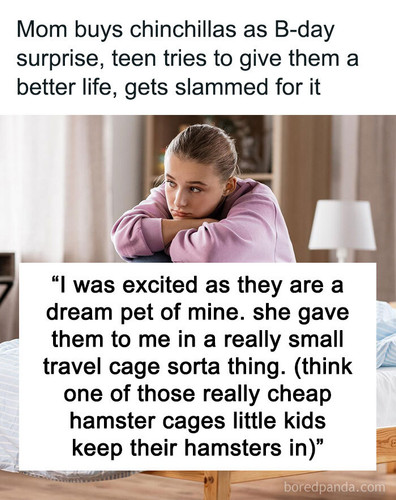 rehoming pets mom got birthday sharing.jpg