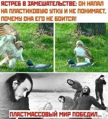 IMG 8916.png