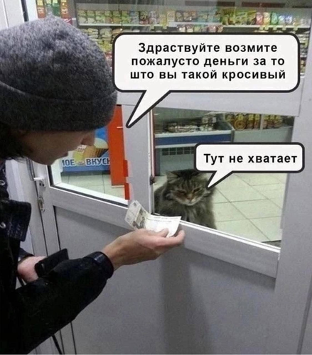 IMG 8917.png