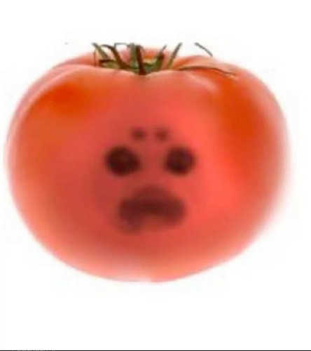 27042.jpg