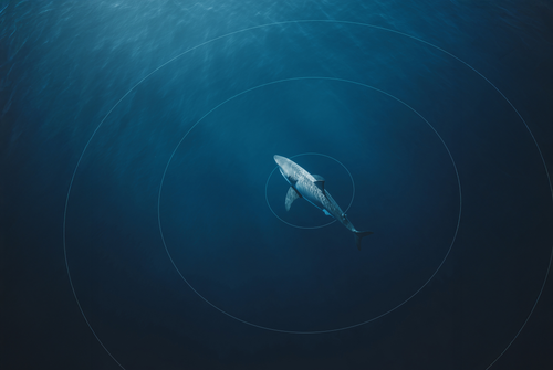 background image extended 1.png