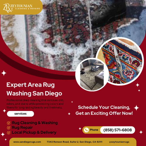Area Rug Washing San Diego High Quality Rug Cleaning.png