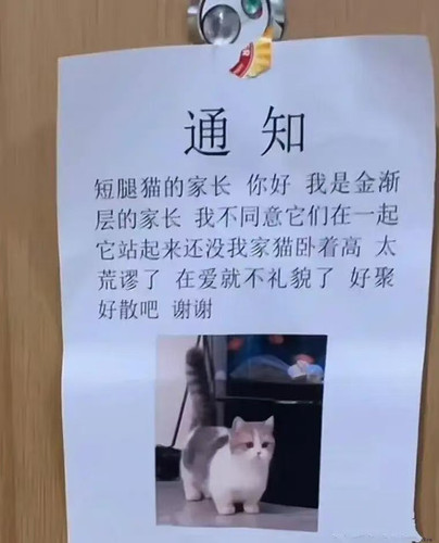 微信图片 20260123195149 666 74.jpg