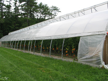 Greenhouse ridge vent.jpg