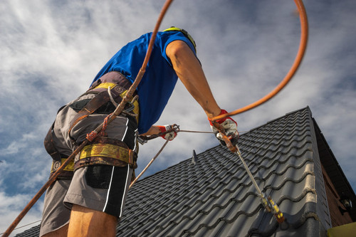 roof cleaning company.jpg