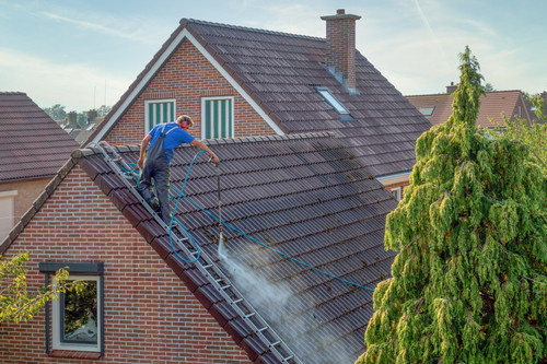 cleaning house roof.jpg