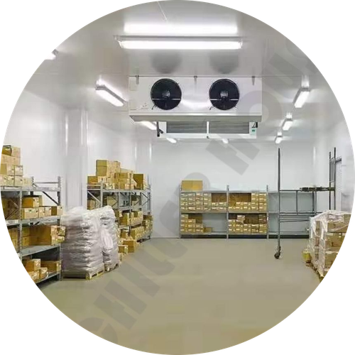 cropped circle image.png