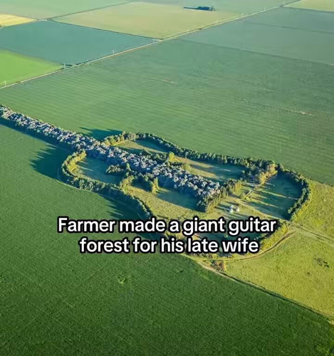 6kxOPv1waYvfNvyp.jpg