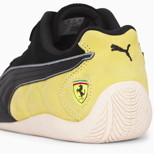 309125 01 (3).png