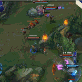 IMG 8250.gif