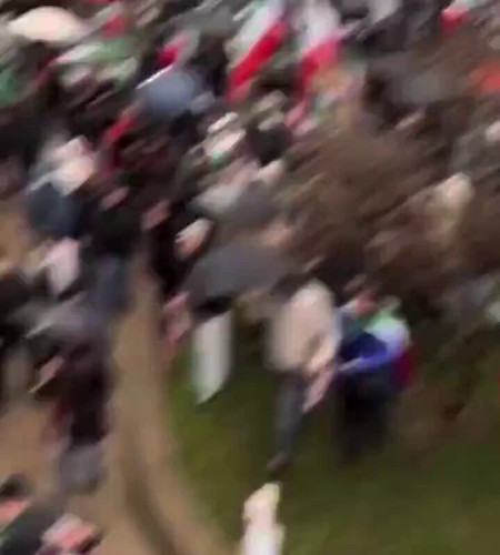 DXb LcNMrDnzzZ7.jpg