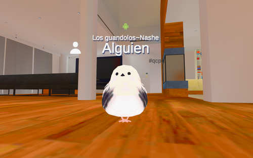 imagen.png