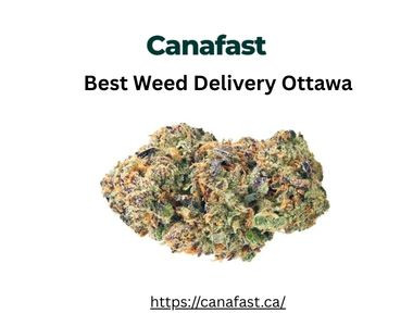 Best Weed Delivery Ottawa.jpg